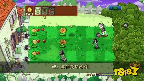 植物大战僵尸ikun版下载