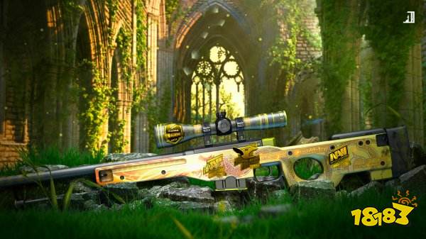 CS开箱有什么用 CS开箱的作用分享