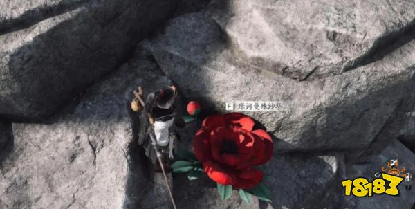 燕云十六聲摩訶曼殊沙華在哪 來生岸之一花中愿任務攻略