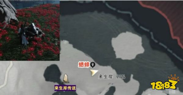 燕云十六聲善妙洲蹊蹺全收集路線圖 善妙洲62只蹊蹺收集攻略大全