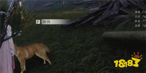 燕云十六聲狗狗對話攻略怎么做 狗狗對話結交攻略一覽