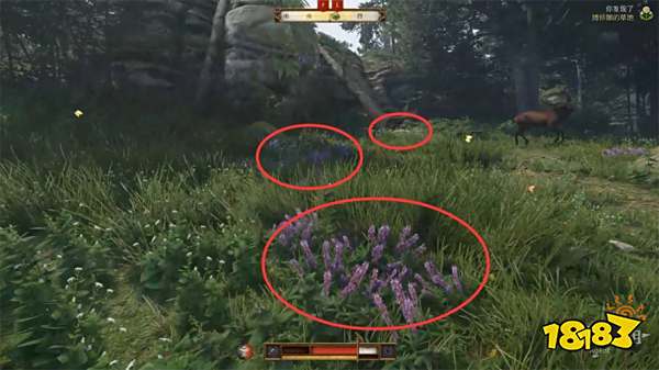 天国拯救2幸运女神流程攻略 幸运女神任务怎么完成