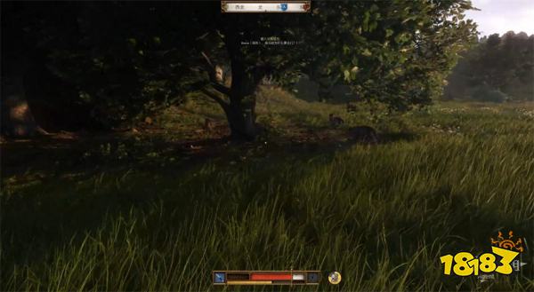 天国拯救2跟班任务攻略 跟班支线任务怎么完成