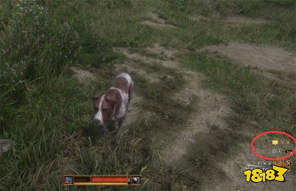 天国拯救2呆呆(下)任务攻略 呆呆(下)支线任务怎么完成