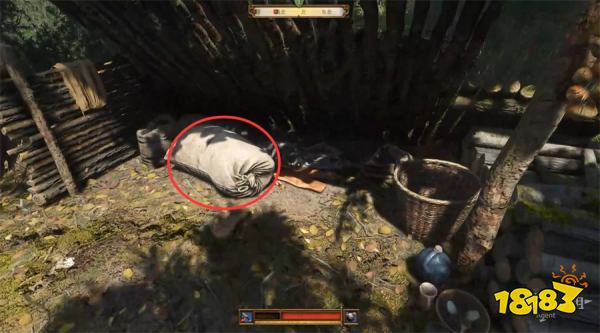 天国拯救2猛禽任务攻略 猛禽支线任务怎么完成