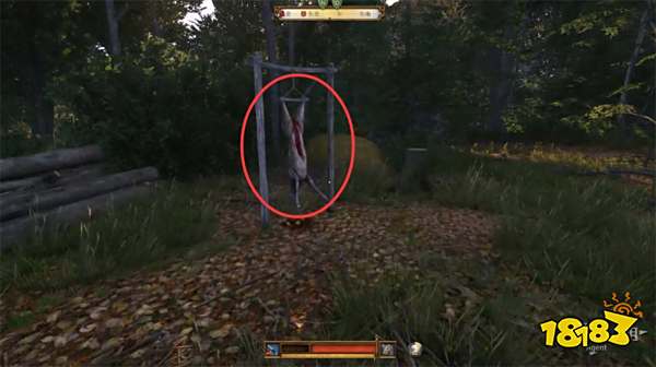 天国拯救2猛禽任务攻略 猛禽支线任务怎么完成