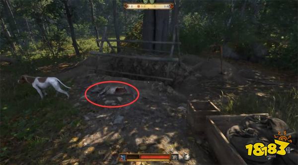 天国拯救2猛禽任务攻略 猛禽支线任务怎么完成