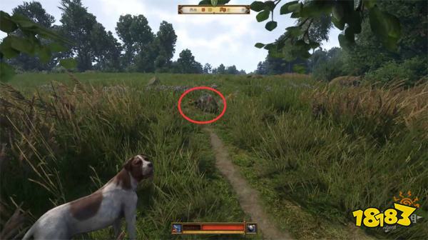 天国拯救2猛禽任务攻略 猛禽支线任务怎么完成