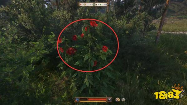 天国拯救2罪恶的灵魂任务攻略 罪恶的灵魂支线任务怎么完成