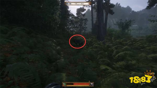 天国拯救2司令官的诅咒任务攻略 司令官的诅咒任务怎么完成