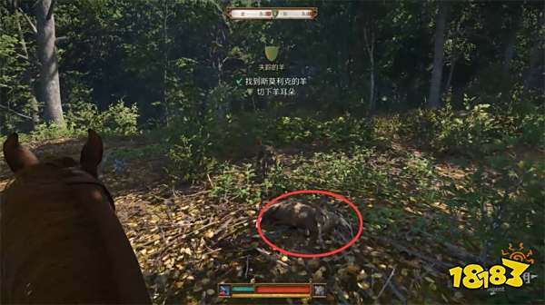 天国拯救2全支线任务攻略汇总 天国拯救2支线任务流程大全