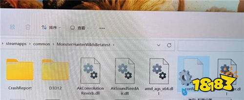 怪物猎人荒野体积雾关闭终极指南:配置文件修改+MOD优化全教程