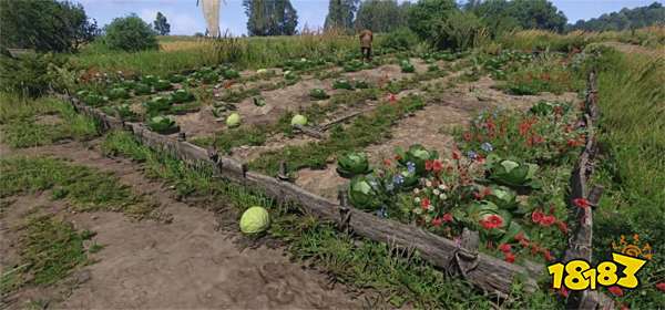 天国拯救2卷心菜贼在哪里 天国拯救2卷心菜贼位置分享