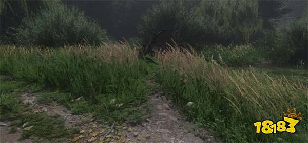 天国拯救2卷心菜贼在哪里 天国拯救2卷心菜贼位置分享