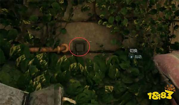 宣誓娥狄卡的遗产藏宝图位置分享 娥狄卡的遗产藏宝图在哪里