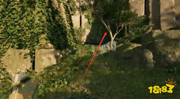 宣誓娥狄卡的遗产藏宝图位置分享 娥狄卡的遗产藏宝图在哪里