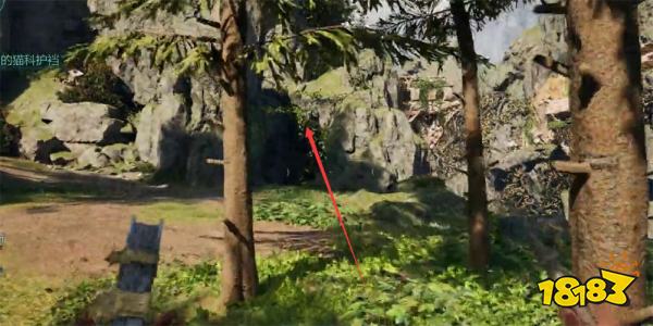 宣誓可怕的猫科护裆藏宝图位置分享 可怕的猫科护裆藏宝图在哪里