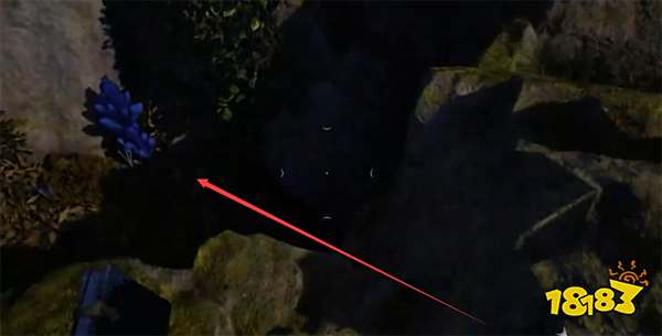 宣誓实用口袋藏宝图位置分享 实用口袋藏宝图在哪里