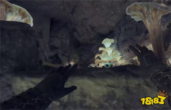 宣誓铁护手在哪里 宣誓铁护手位置分享