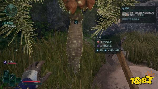 宣誓陌生海岸(上)主线任务攻略 陌生海岸(上)任务怎么完成