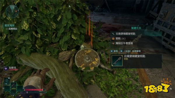 宣誓陌生海岸(中)主线任务攻略 陌生海岸(中)任务怎么完成