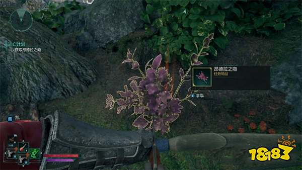 宣誓逃亡计划支线任务攻略 逃亡计划任务怎么完成