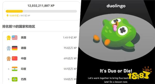 真能复活吗？多邻国求助全球用户助力复活猫头鹰