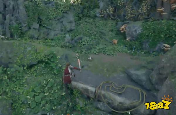 宣誓旅人戒指在哪里 宣誓旅人戒指位置分享