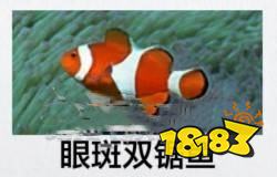 如龙8外传海洋生物博士答案分享 海洋生物博士考试答案是什么