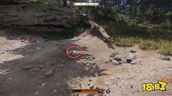 天国拯救2龙穴任务攻略 龙穴支线任务怎么完成