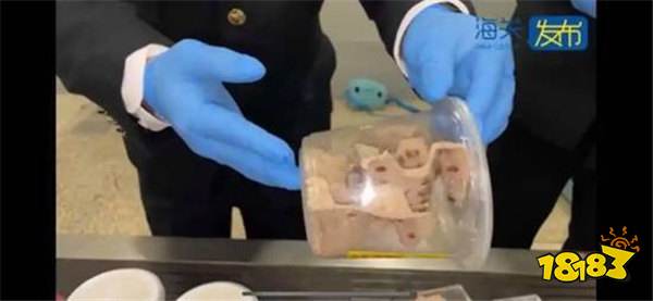 上海浦东机场海关截获世界毒性最强箭毒蛙！网友：建议把这种人枪毙！