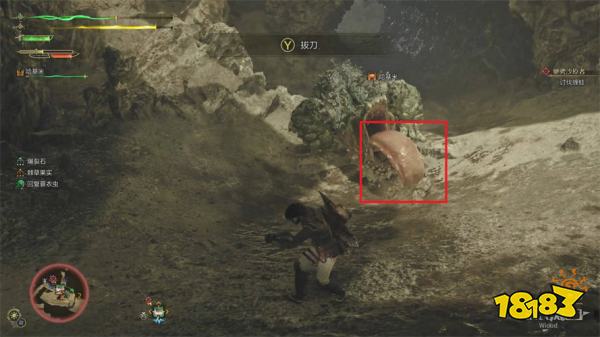 怪物猎人荒野驰骋沙原者流程攻略 怪猎荒野缠蛙打法攻略