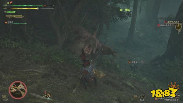 怪物猎人荒野森林生态调查流程攻略 刺花蜘蛛桃毛兽王打法攻略