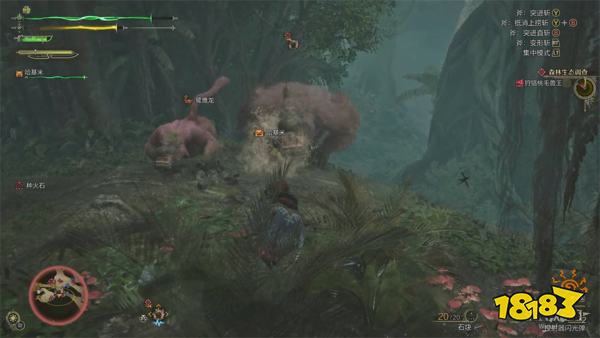 怪物猎人荒野森林生态调查流程攻略 刺花蜘蛛桃毛兽王打法攻略