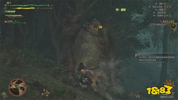 怪物猎人荒野森林生态调查流程攻略 刺花蜘蛛桃毛兽王打法攻略
