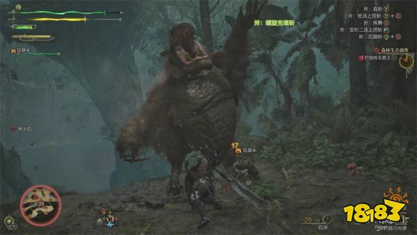怪物猎人荒野森林生态调查流程攻略 刺花蜘蛛桃毛兽王打法攻略