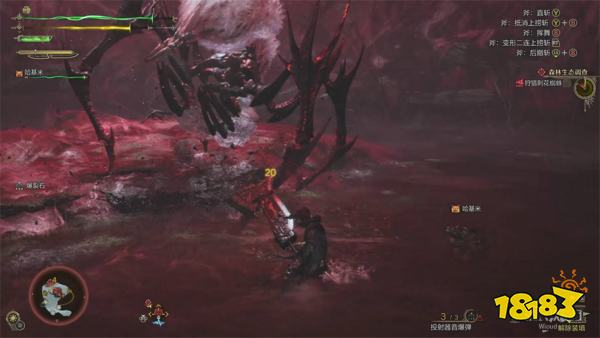 怪物猎人荒野森林生态调查流程攻略 刺花蜘蛛桃毛兽王打法攻略