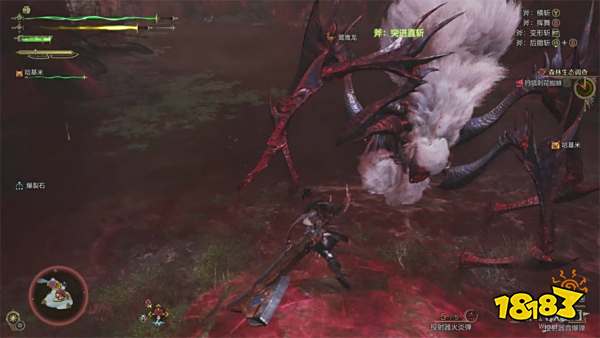 怪物猎人荒野森林生态调查流程攻略 刺花蜘蛛桃毛兽王打法攻略