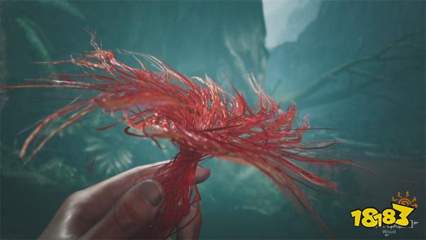 怪物猎人荒野森林生态调查流程攻略 刺花蜘蛛桃毛兽王打法攻略