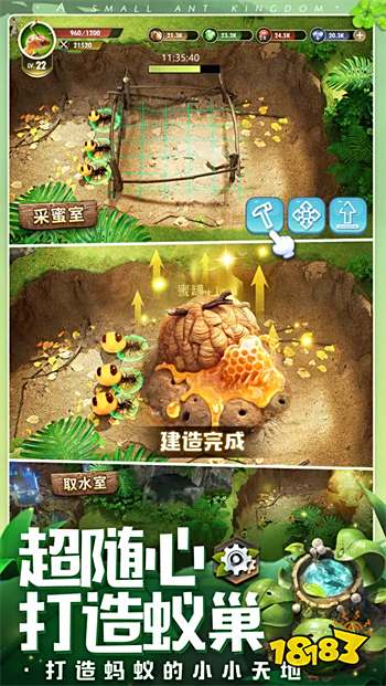 小小蟻國官方正版