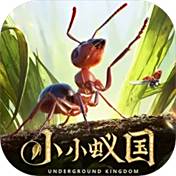 小小蚁国官方正版