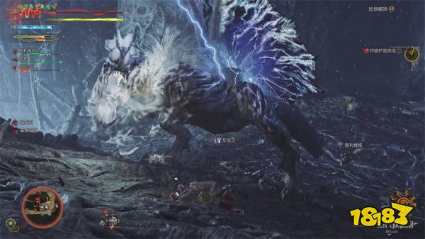 怪物猎人荒野全龙种打法攻略 怪猎荒野全BOSS打法分享