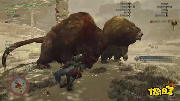 怪物猎人荒野适应的方式任务攻略 适应的方式任务怎么做