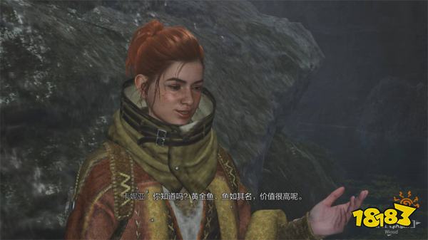 怪物猎人荒野目标是黄金鱼任务攻略 目标是黄金鱼任务怎么做