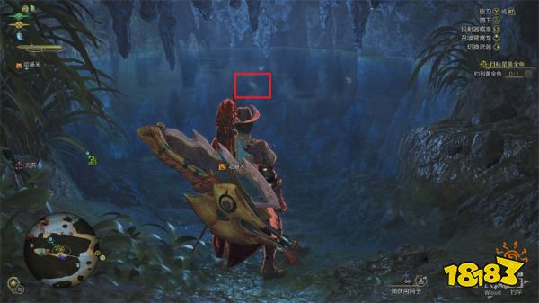 怪物猎人荒野目标是黄金鱼任务攻略 目标是黄金鱼任务怎么做