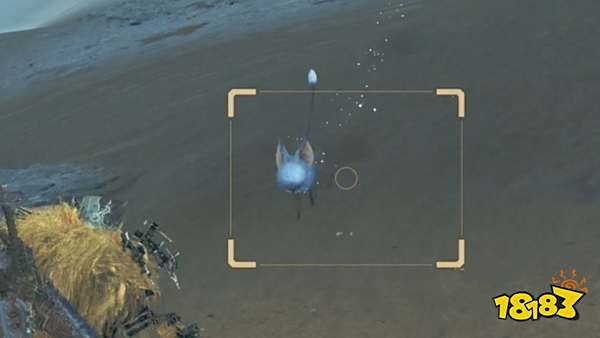 怪物猎人荒野沙野流星位置分享 稀有生物沙野流星捕获方法
