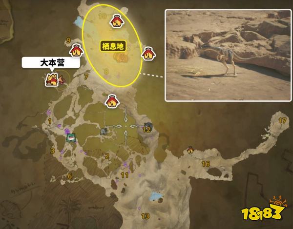 怪物猎人荒野黑风切龙位置分享 稀有生物黑风切龙捕获方法