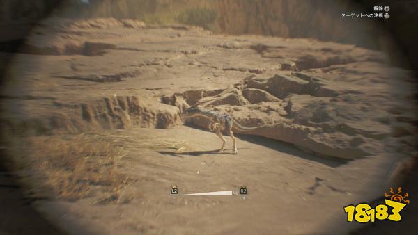 怪物猎人荒野全稀有环境生物位置汇总 稀有环境生物捕获方法大全