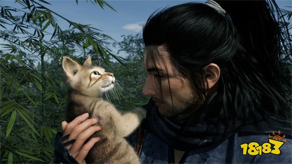 浪人崛起通往横滨的桥梁探索流程 浪人崛起通往横滨的桥梁图文攻略