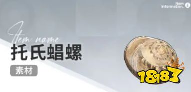 開放空間趕海物出現時間大全2025 開放空間趕海收集時間一覽